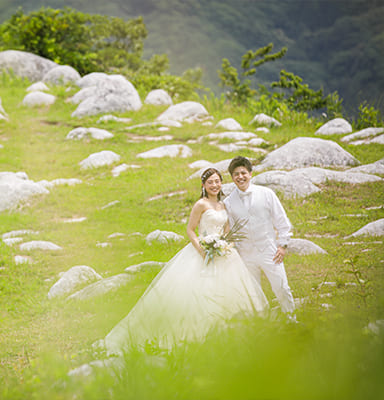 PHOTO SAMPLE