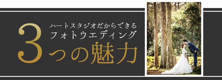 選ばれる3つの理由